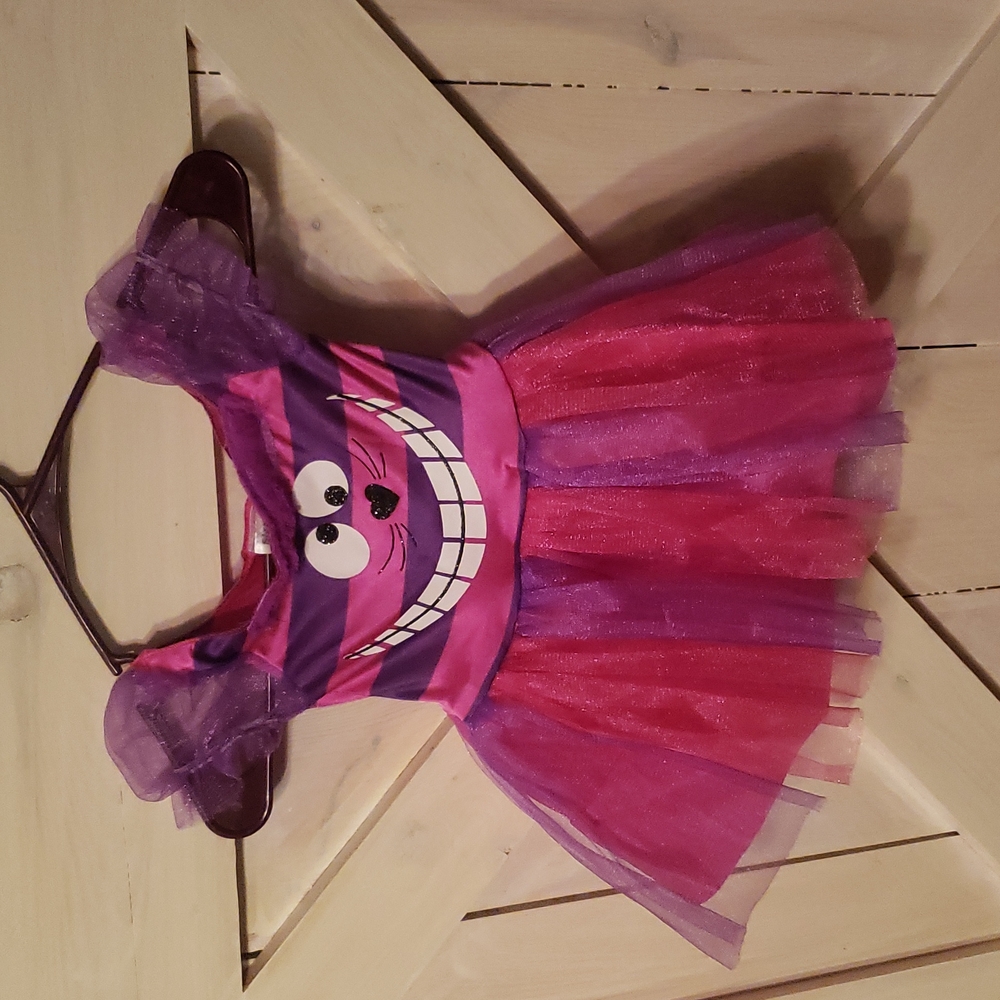 2T Cheshire cat halloween costume